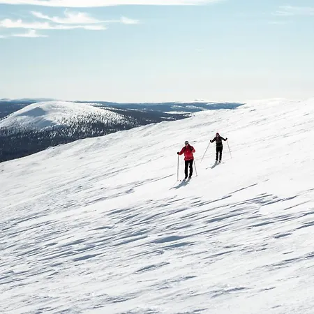 Отель Lapland Yllaeskaltio 3*