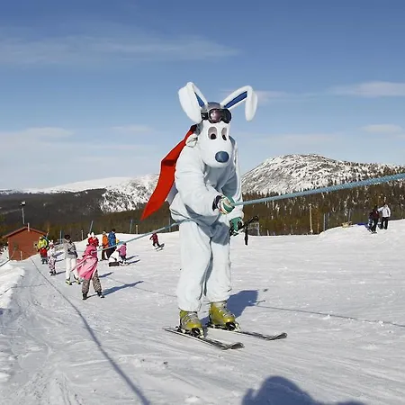 Отель Lapland Yllaeskaltio