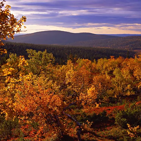 Lapland Ylläskaltio Hotelli Äkäslompolo