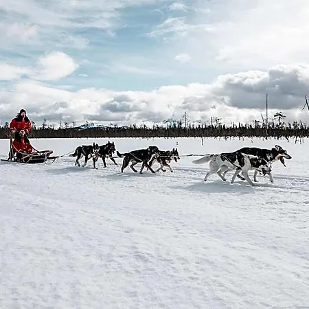 Hotel Lapland Yllaeskaltio