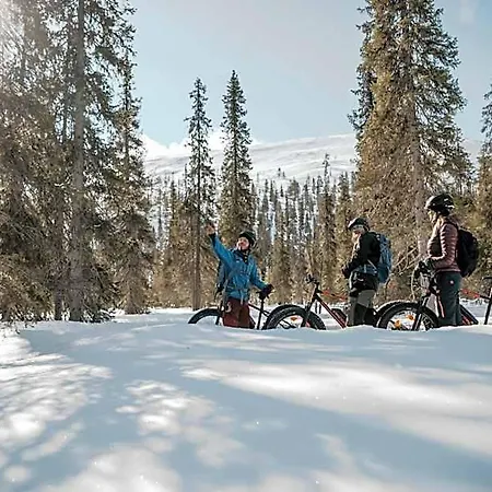 Lapland Yllaeskaltio