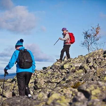 Отель Lapland Yllaeskaltio 3*