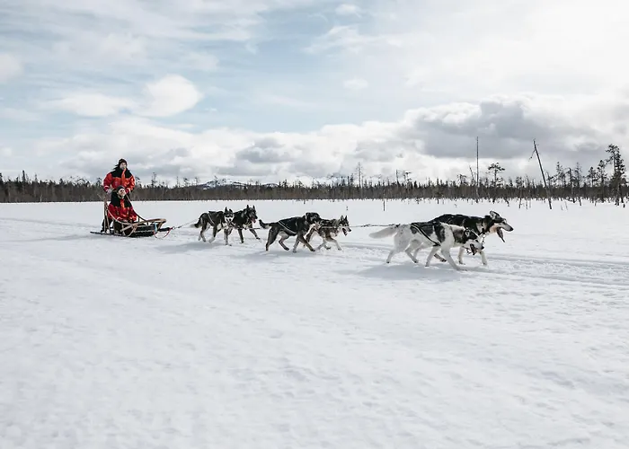 Lapland Yllaeskaltio מלון