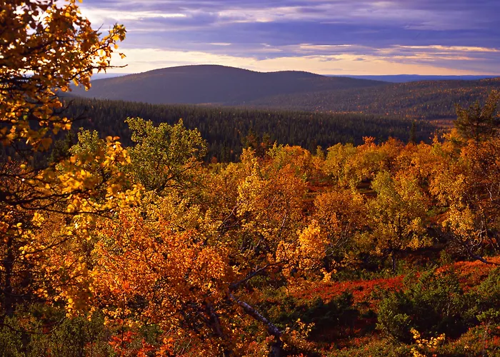 Lapland Yllaeskaltio מלון Äkäslompolo